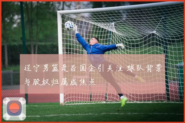 辽宁男篮是否国企引关注 球队背景与股权归属成焦点