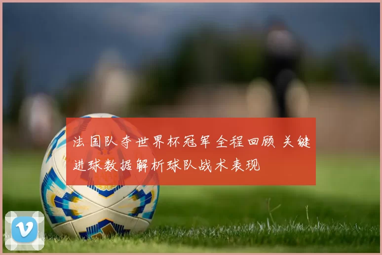 法国队夺世界杯冠军全程回顾 关键进球数据解析球队战术表现