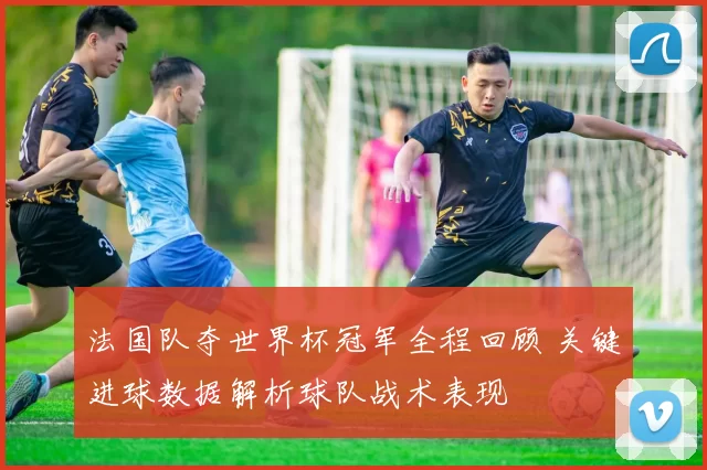 法国队夺世界杯冠军全程回顾 关键进球数据解析球队战术表现