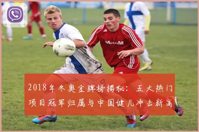 2018年冬奥金牌榜揭秘：五大热门项目冠军归属与中国健儿冲击新高