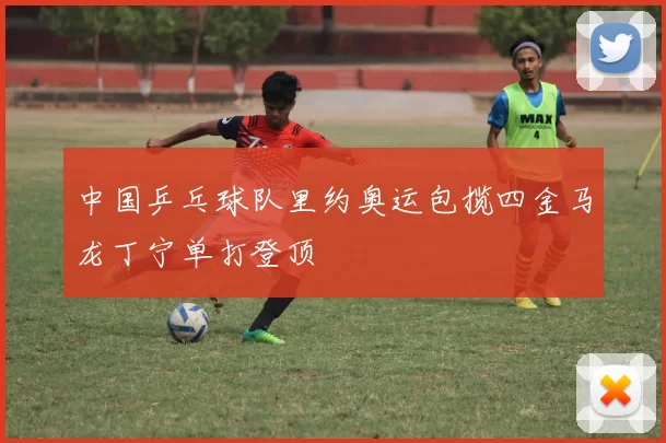 中国乒乓球队里约奥运包揽四金马龙丁宁单打登顶