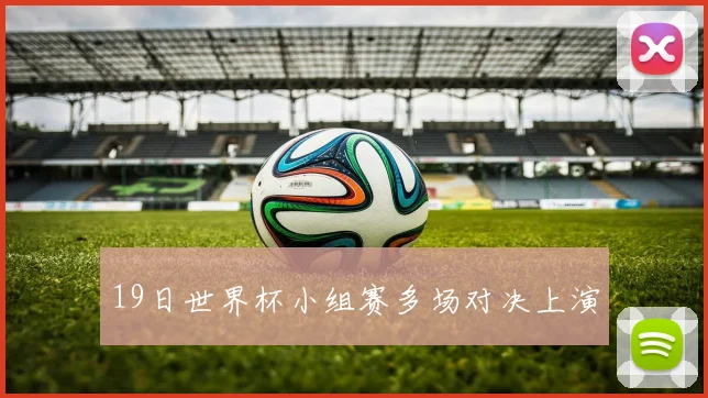 19日世界杯小组赛多场对决上演