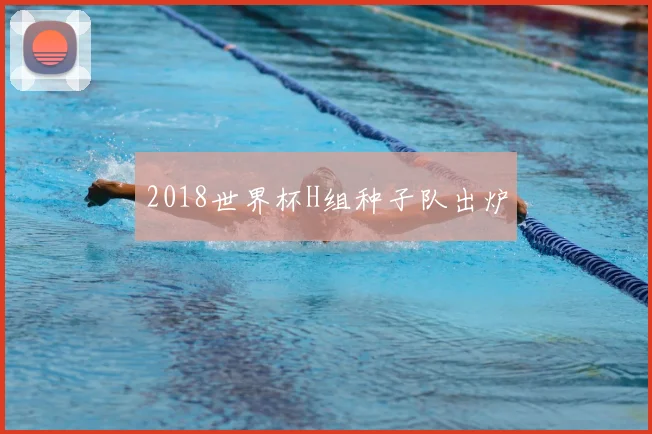 2018世界杯H组种子队出炉
